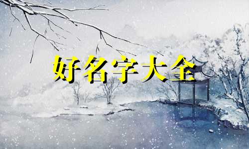 烤冷面如何起名字大全好听
