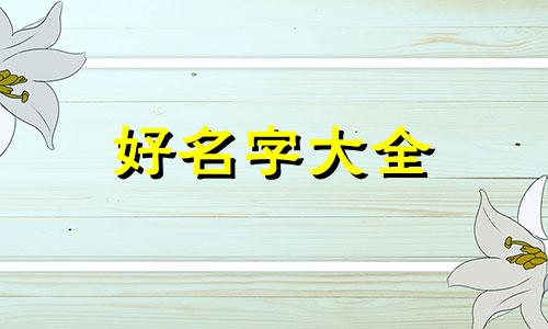 鞋袜类如何起名字好听一点