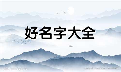 如何给自行车起名称和图片