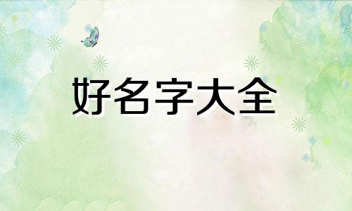 探房博主如何起名字呢视频