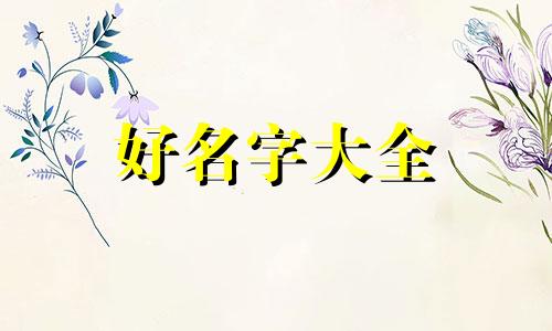 卖鸡脚如何起名字好听一点