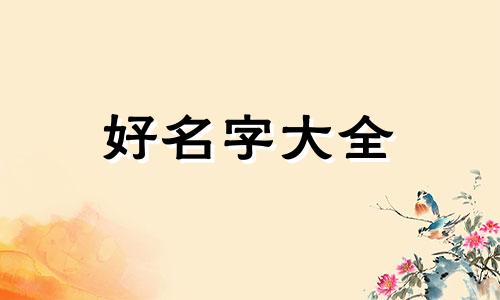 如何起名字新生儿杨靖泽