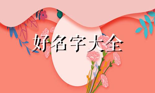 三农主播如何起名字的视频