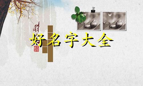 如何用机器起名字比较好听