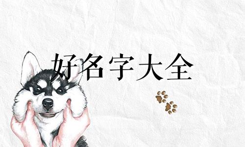 英文是如何起名字的呢怎么写