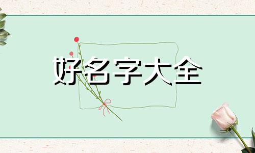如何给垂耳兔起名称呢好听