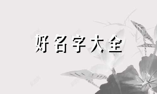 姓毛的双胞胎如何起名字