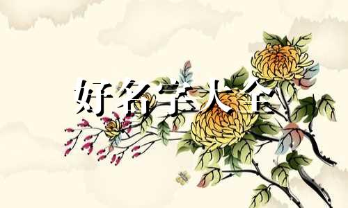 如何起名字四叶草好听点