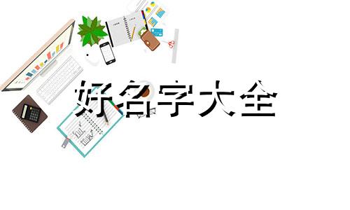 卖废品如何起名字字体大小