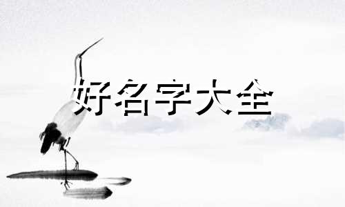 女装店叫大掌柜如何起名字好听