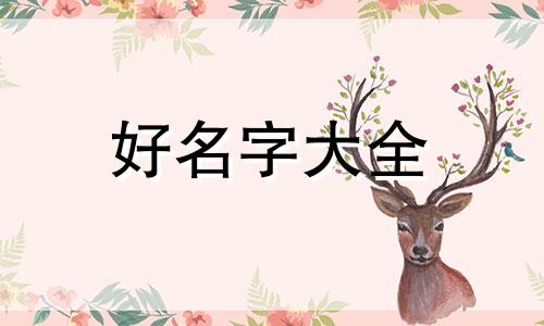 父亲姓胡母亲姓马如何起名字