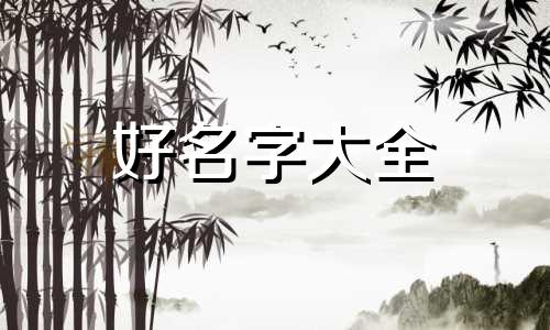 纪录片应该如何起名称和作者