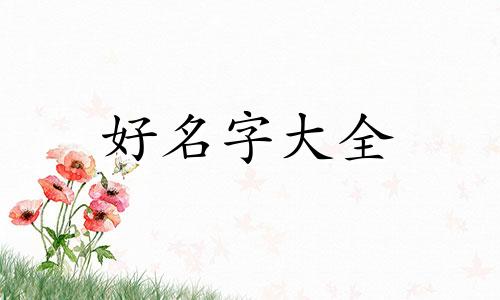 柏马如何起名女孩英文名字