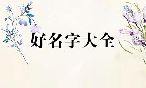 给小兔子如何起名字不幼稚