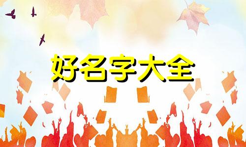 洗护用品店如何起名字好听