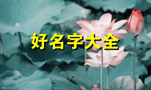 怿字取名如何起名女士两个字