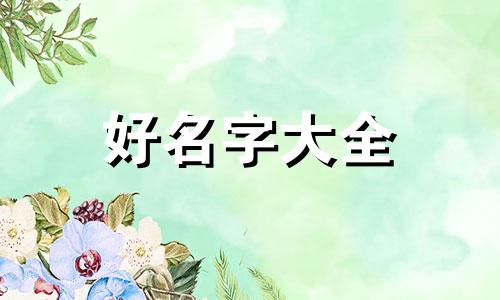 如何给小孩子起名字带金字