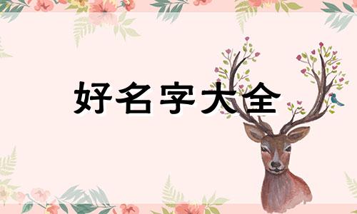 如何给狗起名字与财富有关