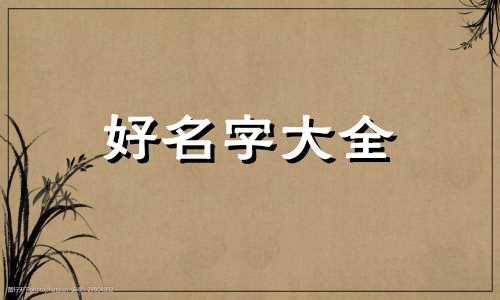 狼王如何起名字大全女孩子