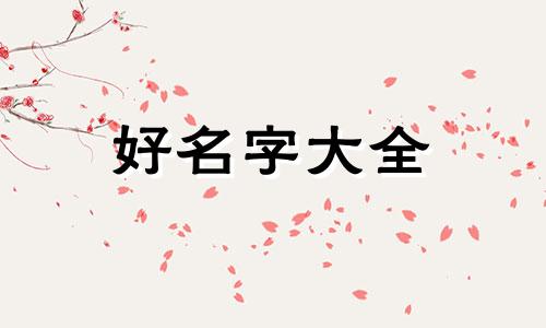 如何给小兔子起名称呢英语