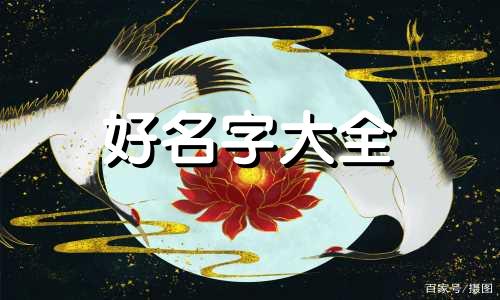 一个产品如何起名称呢英文