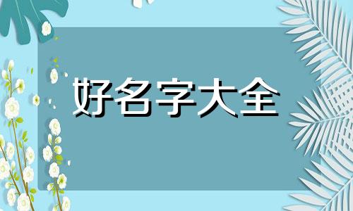 探房博主如何起名字呢女生