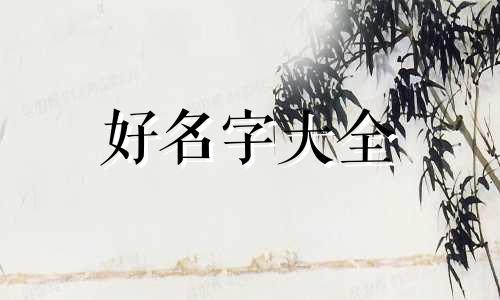 如何给苍鼠起名字好听一点
