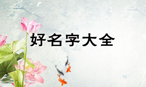 担伯贤郑在玹如何起名字