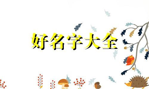 命里缺木火如何起名字女孩