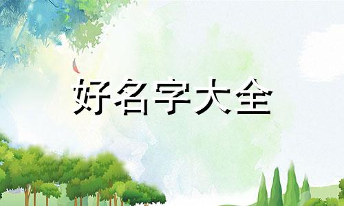 宠物猫粮品牌店如何起名字
