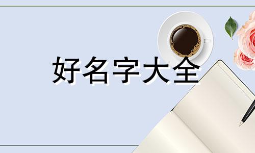 开蝴蝶兰店如何起名字呢