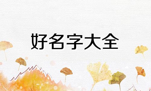 如何像卢笛一样起名子的人