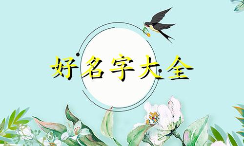 如何起名字给小男孩起小名