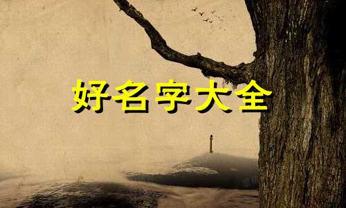 如何给仙女起名字好听一点