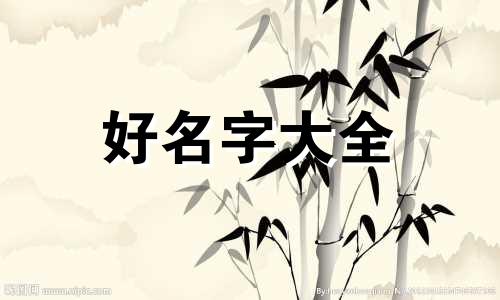 如何给垂耳兔起名字女宝宝
