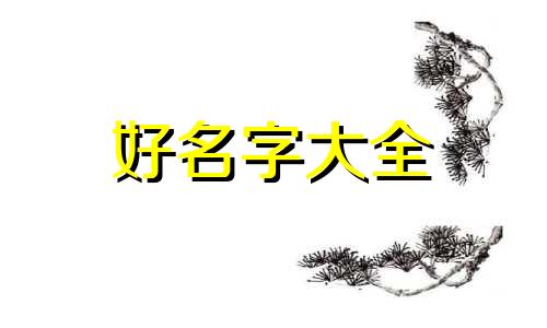 薛之谦的歌如何起名字呢