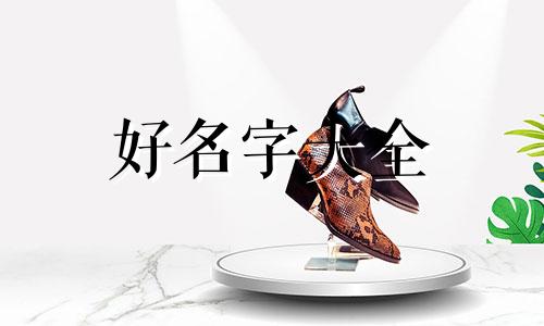 小蛋糕如何起名字好听一点