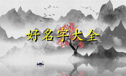 如何给狗起名字可爱一点