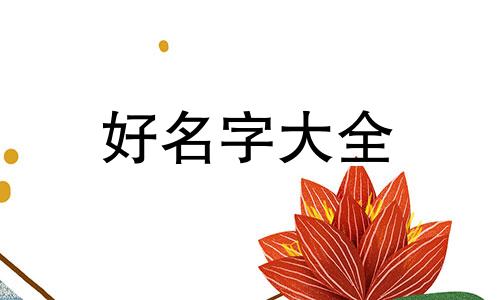 兔五行土旺缺金如何起名