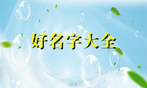水族店如何起名字好听一点
