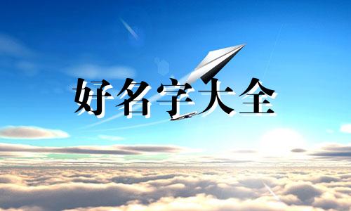 公交车路线如何起名字和座位