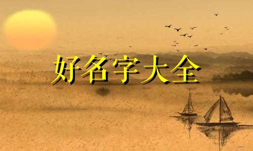 网红公众号如何起名称好听
