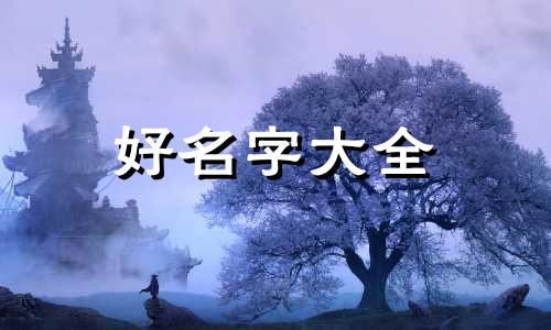 女兔如何起名字好听一点