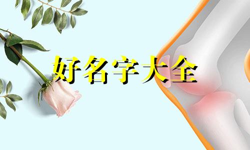 在村子里开餐饮店如何起名子