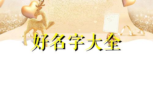 带有海南特色的海南鸡饭如何起名