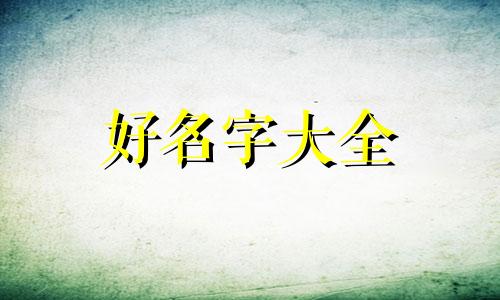 如何给三只猫起名字大全