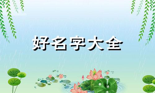绘本和绘画如何结合起名字