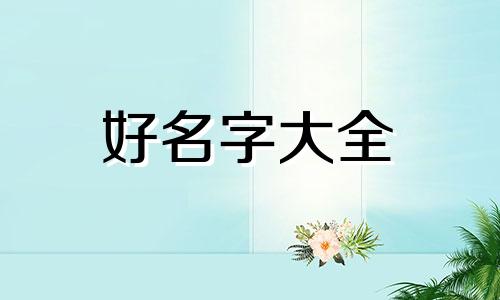 鸭翅鸭爪如何起名字的视频
