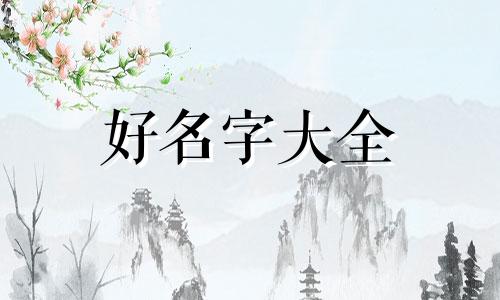 两儿两女如何起名字好