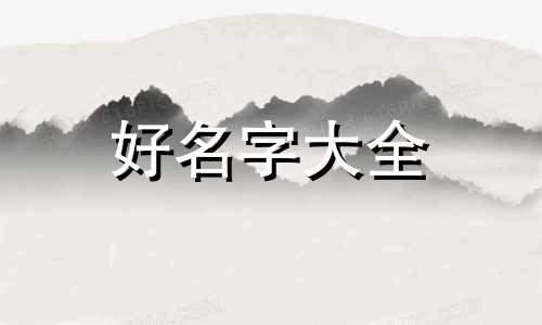 两只柯基如何起名字大全
